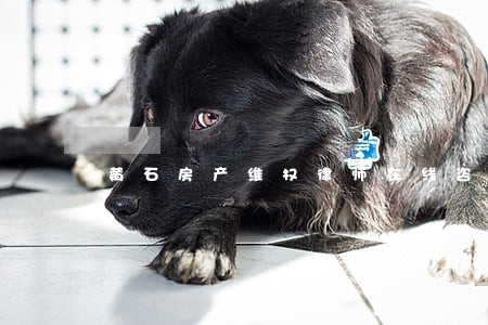 黄石房产维权律师在线咨询 黄石房产维权律师在线咨询