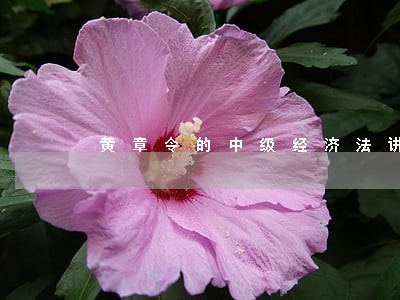 黄章令的中级经济法讲议 黄章令的中级经济法讲议