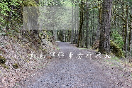 黄色律师事务所网站 黄色律师事务所网站