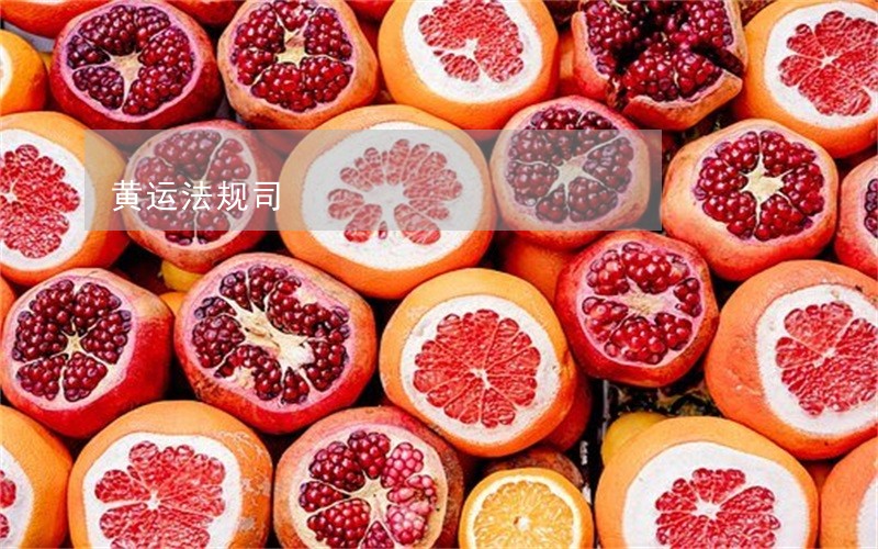 黄运法规司 黄运法规司