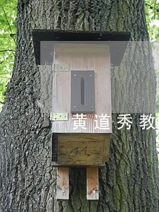 黄道秀教授出席国际刑法大会 黄道秀教授出席国际刑法大会