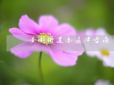 黄阁街道办法律咨询 黄阁街道办法律咨询