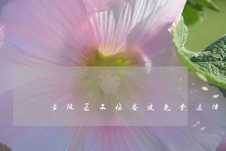 黄陂区工伤鉴定免费法律咨询热线 黄陂区工伤鉴定免费法律咨询热线