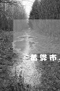 黄骅市人民法院立案查询