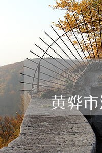 黄骅市法院工业用地拍卖公告