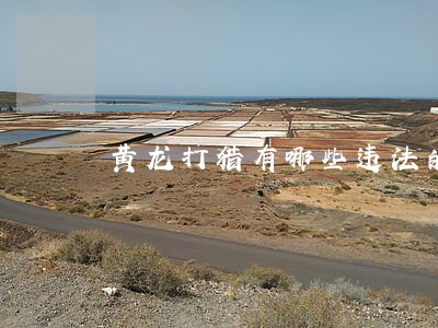 黄龙打猎有哪些违法的