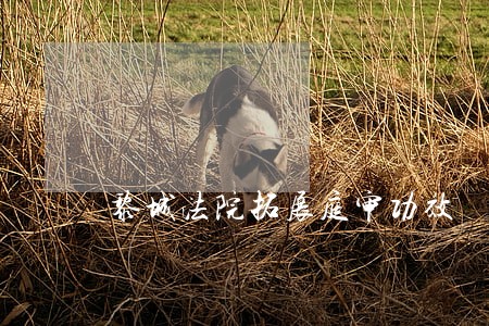 黎城法院拓展庭审功效 黎城法院拓展庭审功效