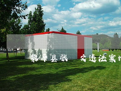 黎平县张璟文违法案情通报 黎平县张璟文违法案情通报