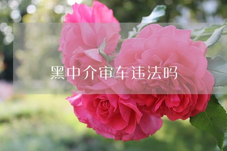 黑中介审车违法吗