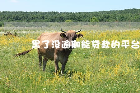 黑了没逾期能贷款的平台 黑了没逾期能贷款的平台