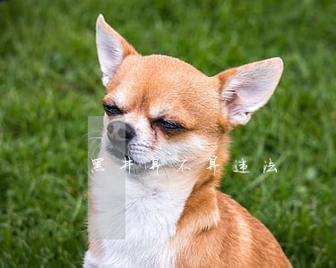 黑井算不算违法 黑井算不算违法