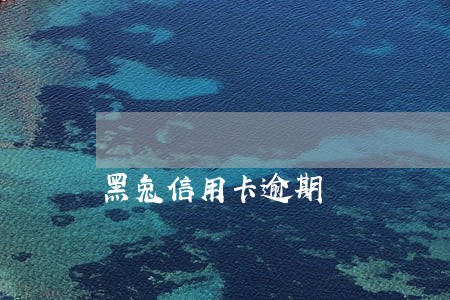 黑兔信用卡逾期