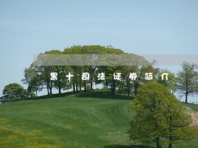 黑十司法证券简介 黑十司法证券简介