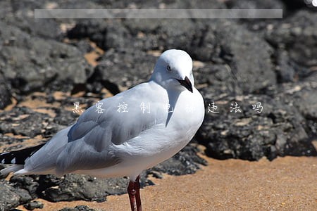 黑客控制电梯违法吗 黑客控制电梯违法吗