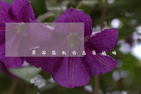 黑客盗取信息违法吗 黑客盗取信息违法吗