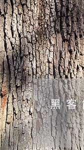 黑客能删掉驾驶证违法