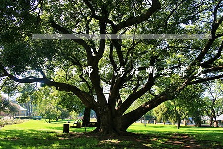 黑律师都涉嫌哪些罪名 黑律师都涉嫌哪些罪名