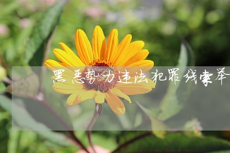 黑恶势力违法犯罪线索举报方式 黑恶势力违法犯罪线索举报方式
