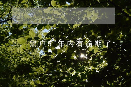 黑户5年内有逾期了 黑户5年内有逾期了