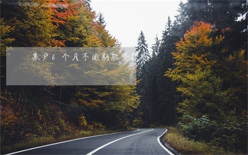 黑户6个月不逾期能贷款吗 黑户6个月不逾期能贷款吗