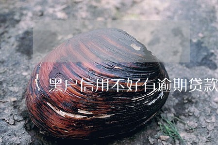 黑户信用不好有逾期贷款口子 黑户信用不好有逾期贷款口子
