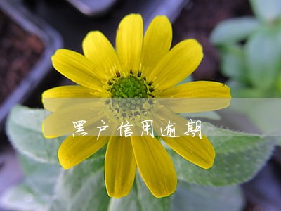 黑户信用逾期 黑户信用逾期