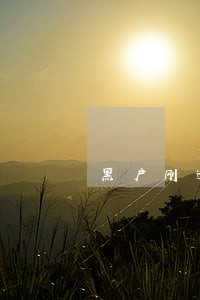 黑户刚逾期在哪里可以借5万