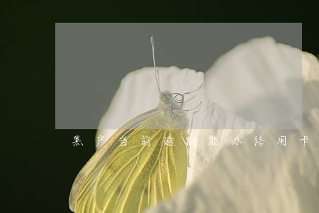 黑户当前逾期能办信用卡吗 黑户当前逾期能办信用卡吗