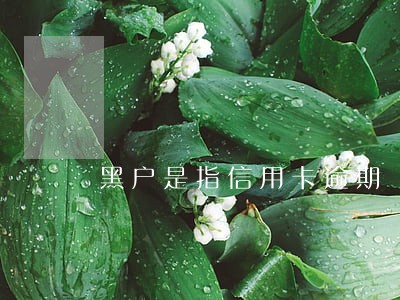 黑户是指信用卡逾期 黑户是指信用卡逾期