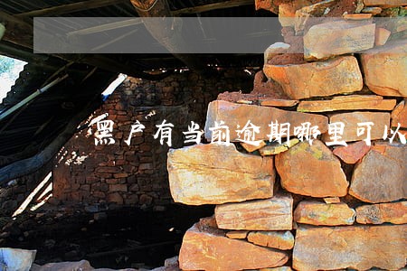 黑户有当前逾期哪里可以贷款 黑户有当前逾期哪里可以贷款