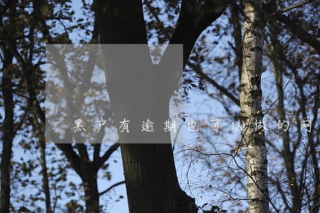 黑户有逾期也可以做的网贷 黑户有逾期也可以做的网贷