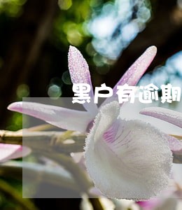黑户有逾期的贷款借5006 黑户有逾期的贷款借5006