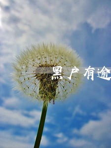 黑户有逾期网贷能下的口子 黑户有逾期网贷能下的口子