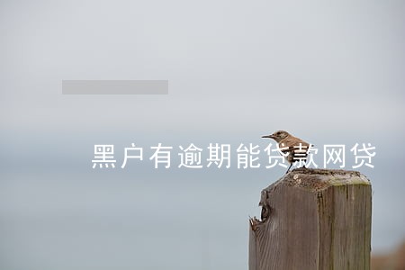 黑户有逾期能贷款网贷 黑户有逾期能贷款网贷