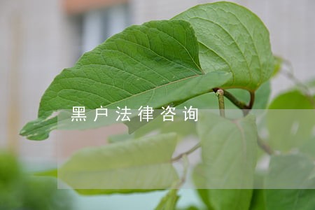 黑户法律咨询 黑户法律咨询