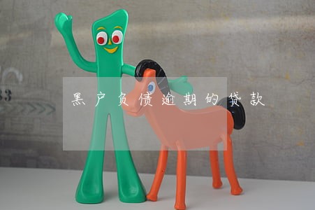 黑户负债逾期的贷款 黑户负债逾期的贷款