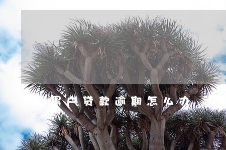 黑户贷款逾期怎么办 黑户贷款逾期怎么办