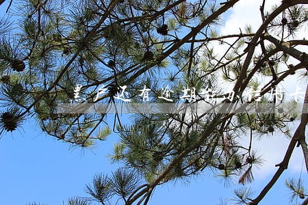 黑户还有逾期能办信用卡吗 黑户还有逾期能办信用卡吗