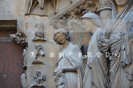 黑户逾期严重能贷款的 黑户逾期严重能贷款的