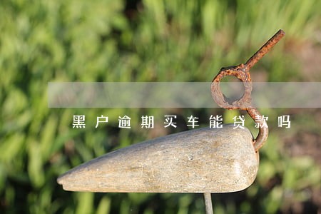 黑户逾期买车能贷款吗 黑户逾期买车能贷款吗