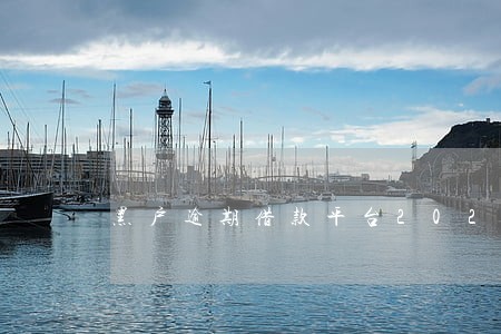 黑户逾期借款平台2020 黑户逾期借款平台2020