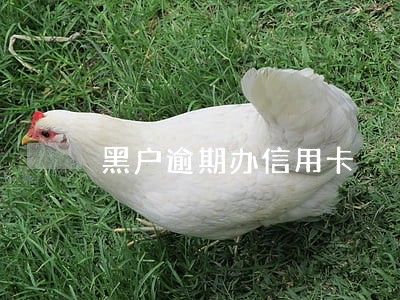黑户逾期办信用卡 黑户逾期办信用卡