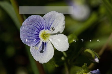 黑户逾期哪个网贷可以 黑户逾期哪个网贷可以