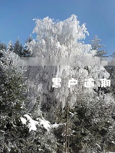 黑户逾期处理过后能办信用卡吗 黑户逾期处理过后能办信用卡吗