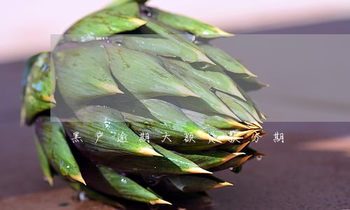 黑户逾期大额贷款分期 黑户逾期大额贷款分期