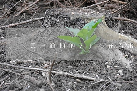 黑户逾期的714还借出来吗
