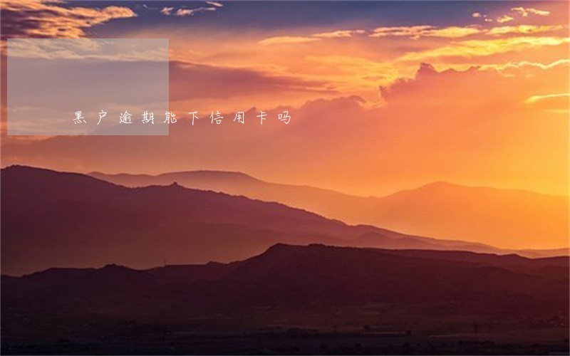 黑户逾期能下信用卡吗