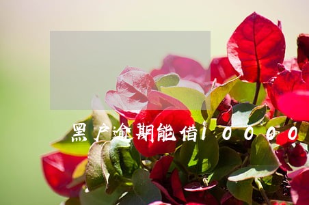 黑户逾期能借10000