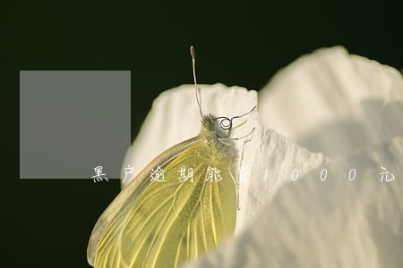 黑户逾期能贷1000元的口子 黑户逾期能贷1000元的口子