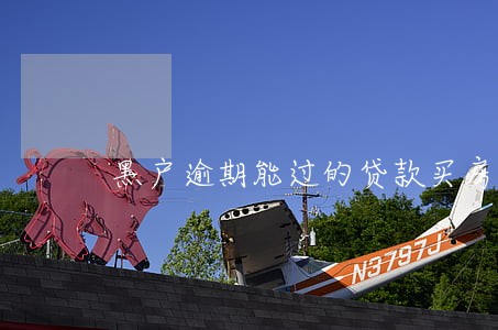 黑户逾期能过的贷款买房吗 黑户逾期能过的贷款买房吗